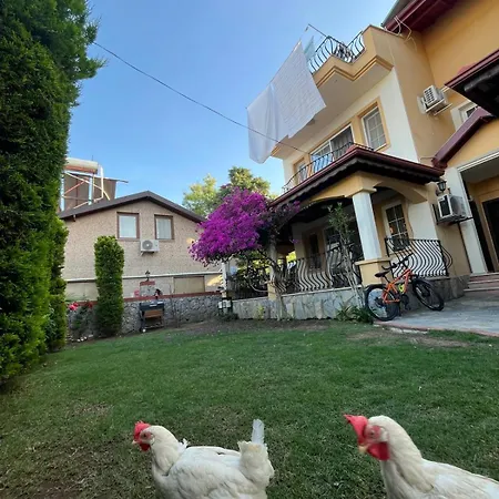 Fty - Turizm Yatirim Tatil Villasi